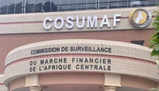  Anges Kevin NZIGOU présent la vision de la plateforme