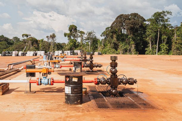 Pétrole en Afrique centrale : les compagnies nationales en première ligne, le Gabon et le Cameroun misent sur leurs sociétés publiques