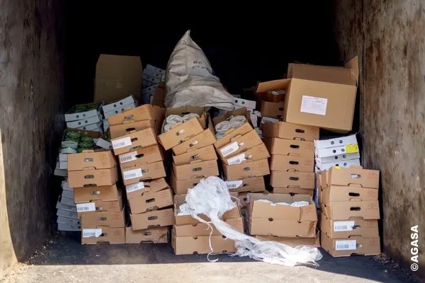 Fromage contaminé : l’AGASA agit avant le drame