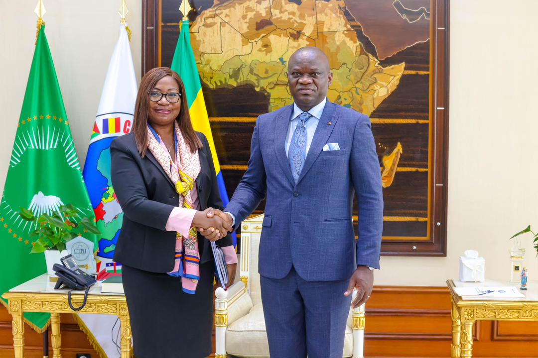 Oligui Nguema reçoit la BAD : une coopération renforcée pour la vision 50 et le développement national