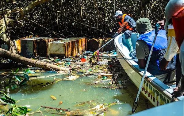 Écologie : renforcement du dispositif fiscal environnemental