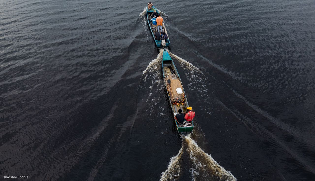 FPBG : lancement d’un appel à projets pour protéger les écosystèmes marins et littoraux