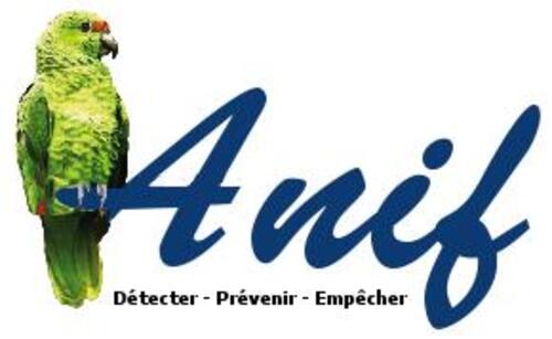 Lutte contre la criminalité financière : l’ANIF renforcée par une réforme stratégique