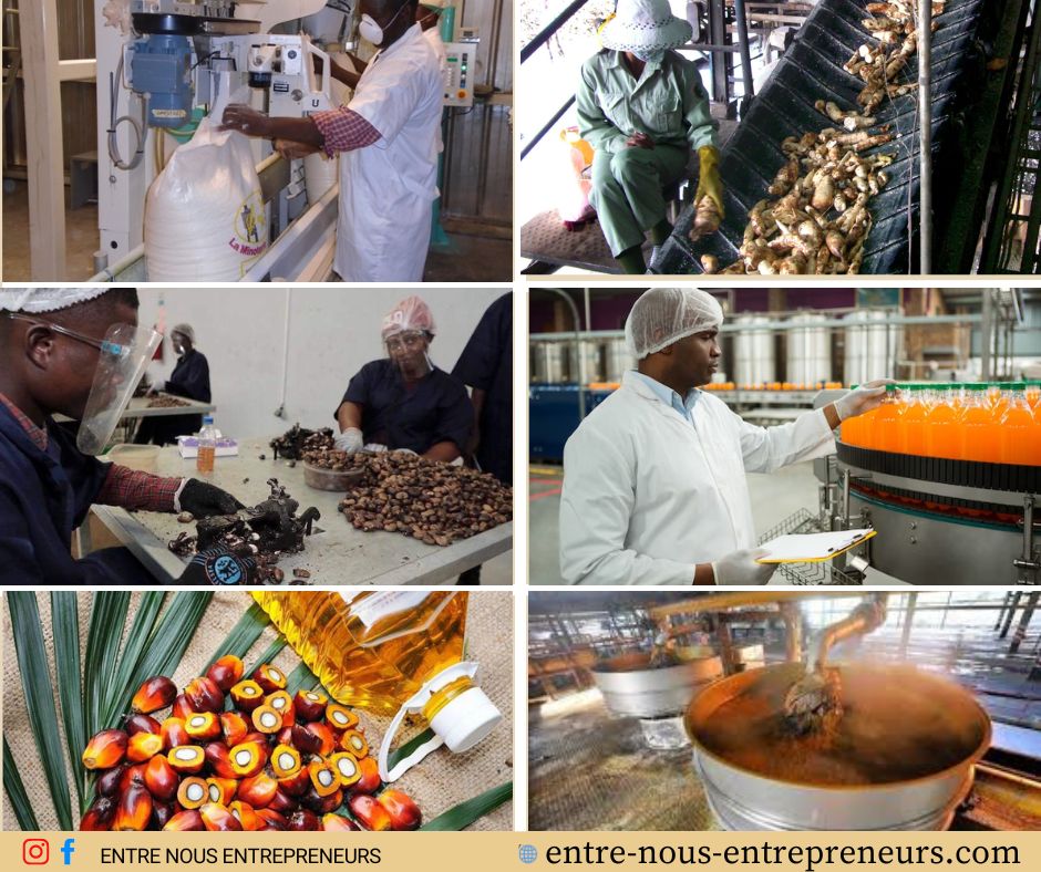 Agro-industries gabonaises : la croissance à deux vitesses