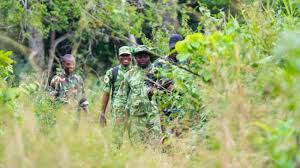 Protection des forêts et de la biodiversité : l’État muscle sa réponse face aux crimes environnementaux