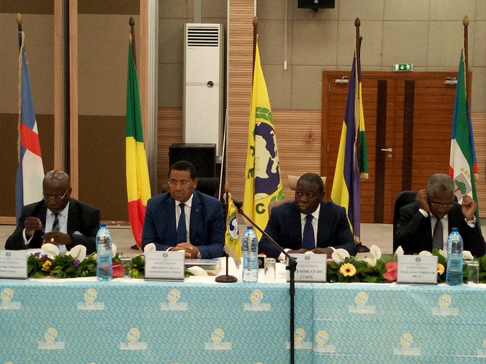  Anges Kevin NZIGOU présent la vision de la plateforme