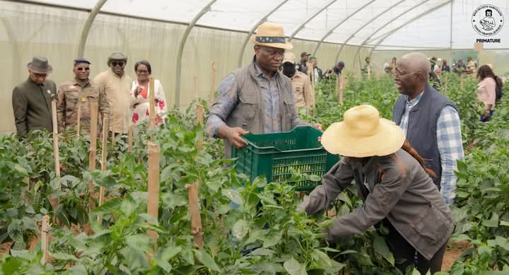 Diversification économique : l’agriculture et la transformation locale érigées en piliers de souveraineté