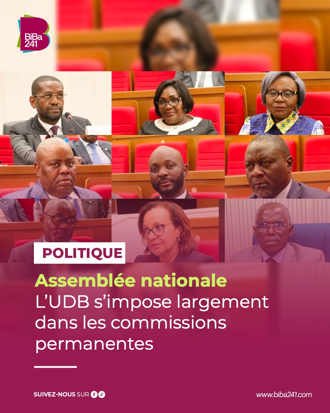 Assemblée nationale : comment l’UDB a pris le contrôle des commissions clés