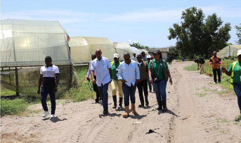 Aviculture : le gouvernement accélère vers l’objectif « zéro importation » d’ici 2027