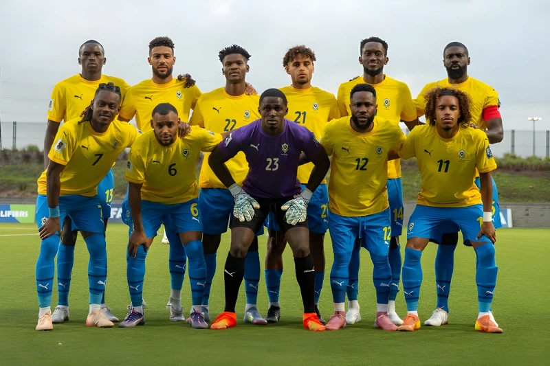  Anges Kevin NZIGOU présent la vision de la plateforme