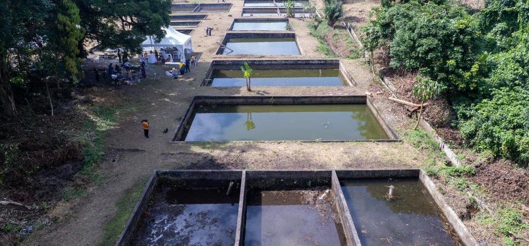 Aquaculture : la station piscicole de la Peyrie relancée après des années d’arrêt