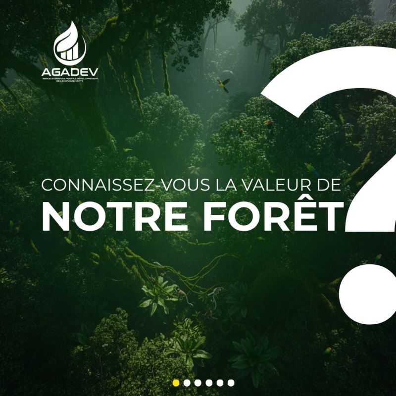 Trésor écologique : 1 572 milliards de dollars pour valoriser l'économie verte