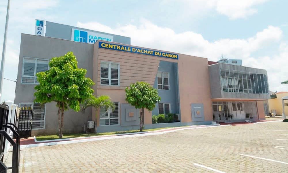  Anges Kevin NZIGOU présent la vision de la plateforme