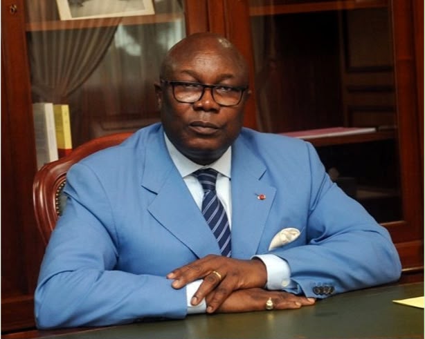  Anges Kevin NZIGOU présent la vision de la plateforme
