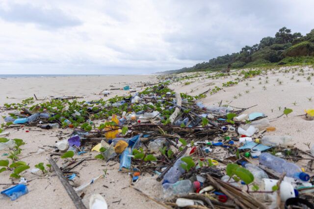 Loango : Plastic Odyssey prépare une vaste opération de dépollution
