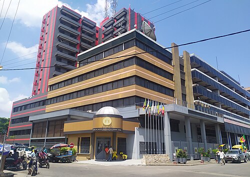  Anges Kevin NZIGOU présent la vision de la plateforme