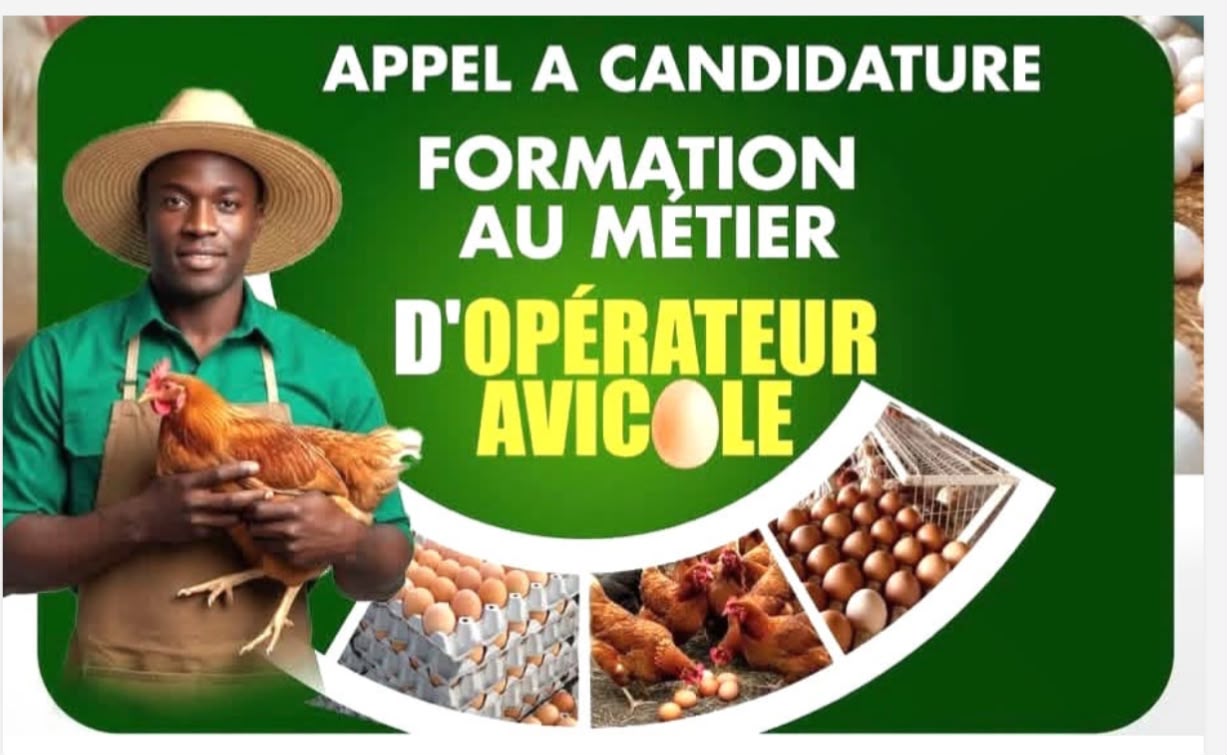 Aviculture : le PNPE mise sur la formation pour renforcer la production locale