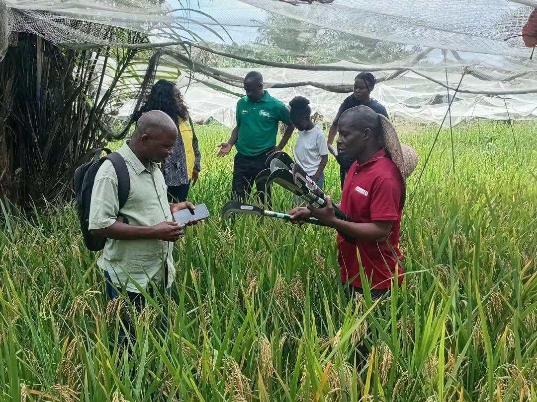  Anges Kevin NZIGOU présent la vision de la plateforme
